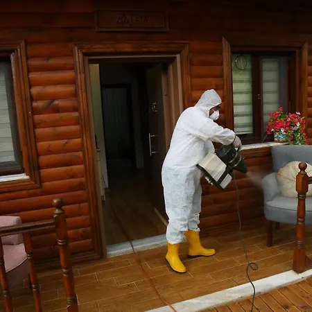 Dergiz Tatil Koeyue Artvin