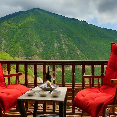 Dergiz Tatil Koeyue * آرتفين